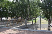L'Ajuntament obre a la ciutadania el parc Josep Vidal després de finalitzar el primer bloc de  treballs  de renaturalització i adequació 