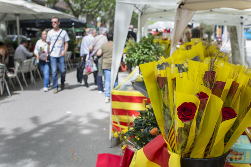 L'Ajuntament de Manresa obre demà el període de sol·licituds per instal·lar parades per Sant Jordi